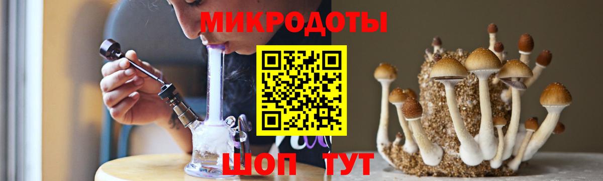 Родники  Псилоцибиновые грибы Psilocybe  где можно купить наркотик  Вход с VPN 